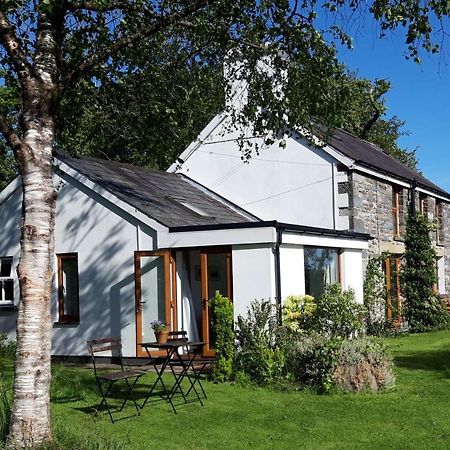 Tregaron Nant Yr Onnen B&B And Holiday Cottage מראה חיצוני תמונה