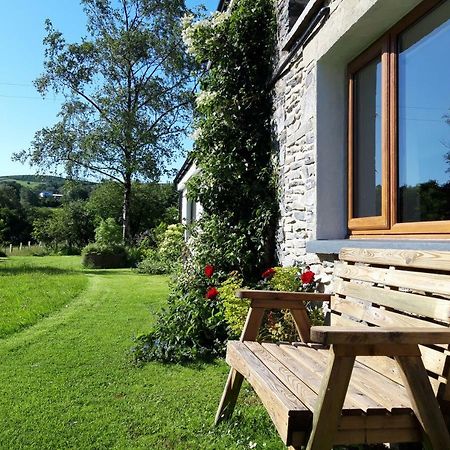 Tregaron Nant Yr Onnen B&B And Holiday Cottage מראה חיצוני תמונה