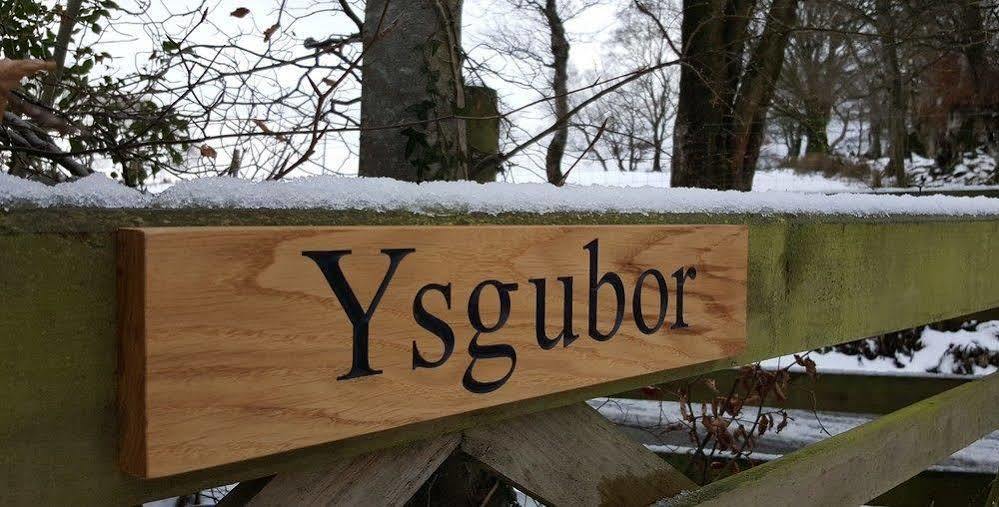 Tregaron Nant Yr Onnen B&B And Holiday Cottage מראה חיצוני תמונה