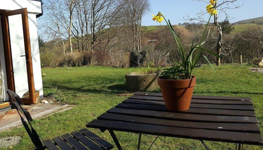 Tregaron Nant Yr Onnen B&B And Holiday Cottage מראה חיצוני תמונה