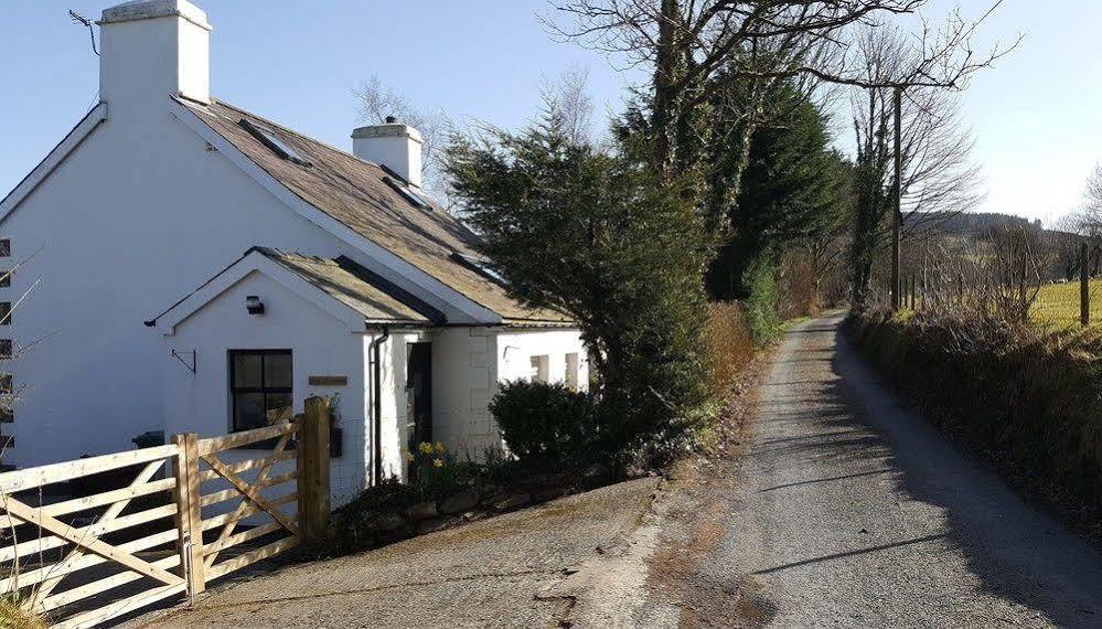 Tregaron Nant Yr Onnen B&B And Holiday Cottage מראה חיצוני תמונה