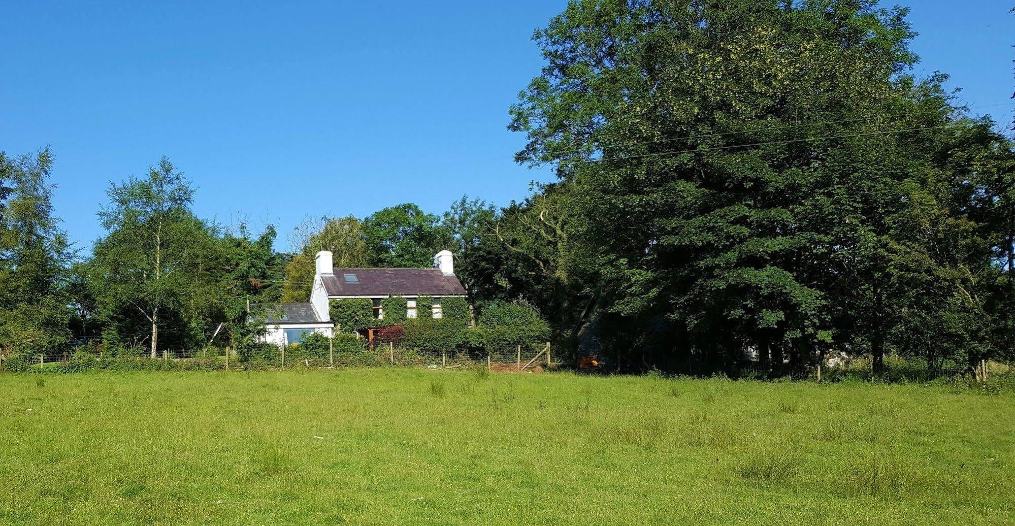 Tregaron Nant Yr Onnen B&B And Holiday Cottage מראה חיצוני תמונה