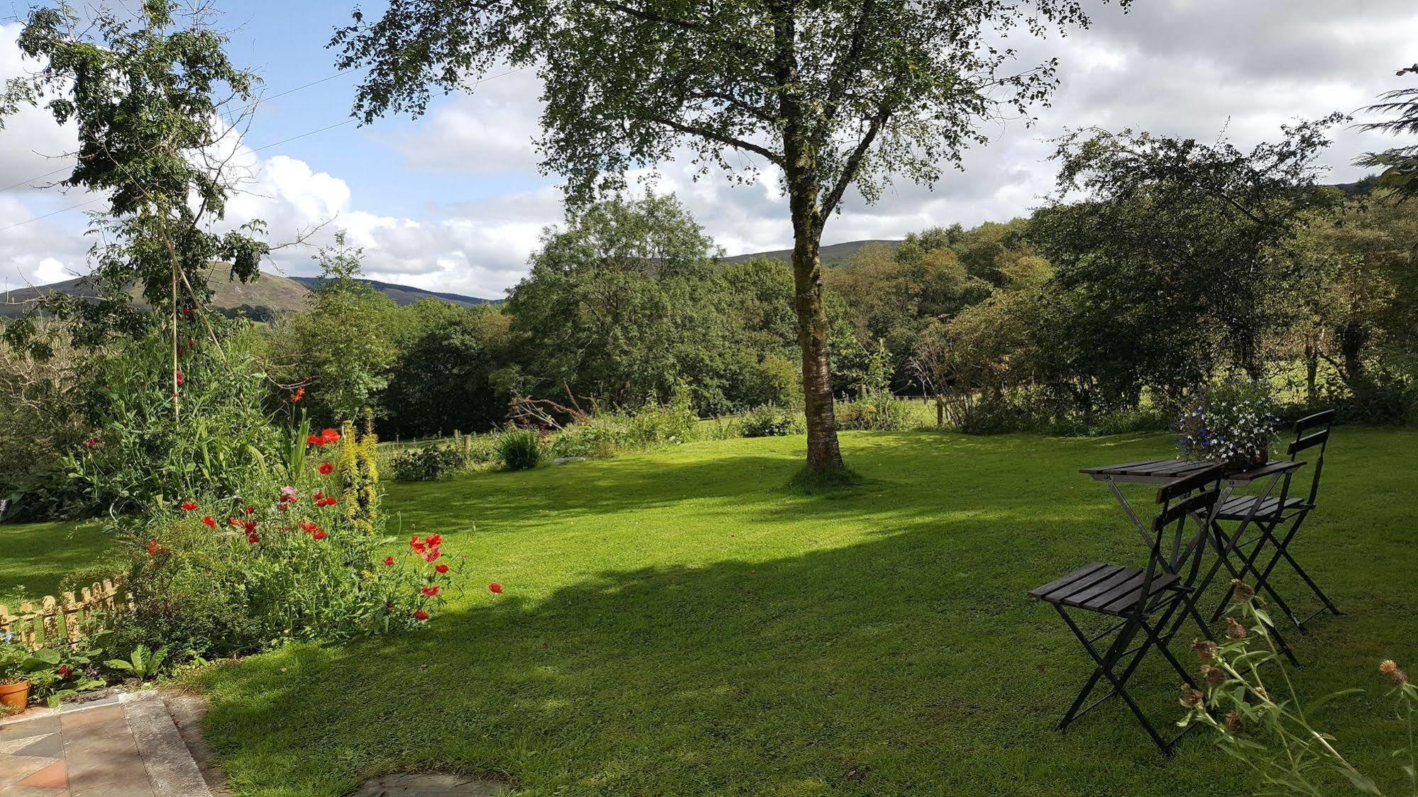 Tregaron Nant Yr Onnen B&B And Holiday Cottage מראה חיצוני תמונה