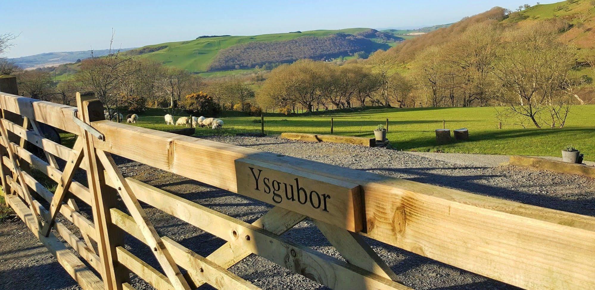 Tregaron Nant Yr Onnen B&B And Holiday Cottage מראה חיצוני תמונה