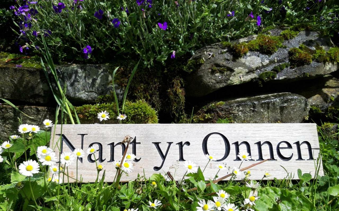 Tregaron Nant Yr Onnen B&B And Holiday Cottage מראה חיצוני תמונה